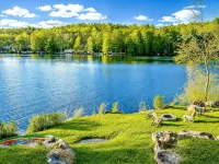 Lakefront-Dock-Grill-Firepit-Wood Stove - 4-Star