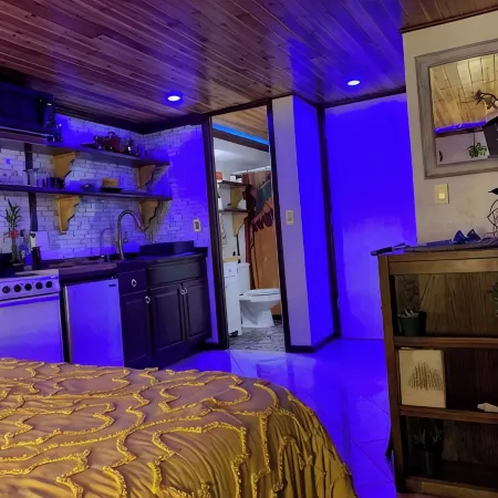 Waikiki Magic; Full Kitchen Studio Condo with WiFi, AC, Mountain & Canal Views