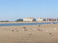 LUXURY APARTMENT FRONT LINE BEACH. SEA VIEWS - View biển
