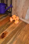 The Cozy Cute Rustic Lodge close to everything. Clean & Spacious- Fire Pit. - Gym
