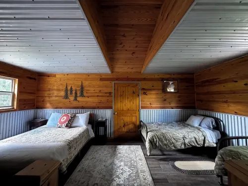 Mennonite Built Cabin on 81 acres surrounded by 30,000 acres of state park - Homestays