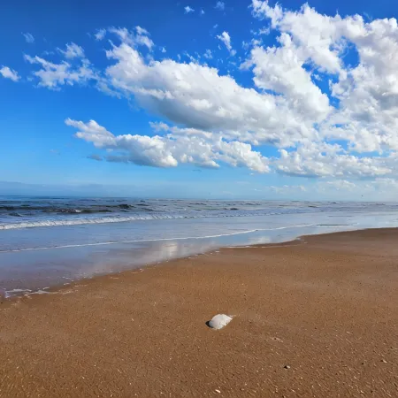 Sabtr- 710- 6 Min. Walk to the Beach! Pool, Clean,2Br,2BA Villa, 5-Star Reviews!