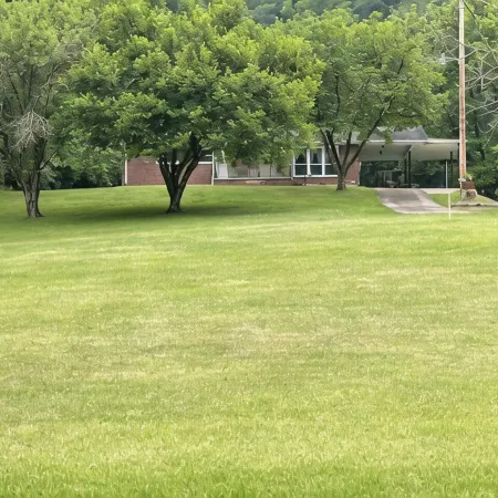 Beautiful Mountain View’s and Located on several acres for privacy