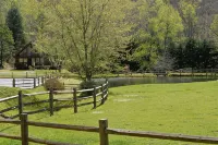 Private Equestrian Estate - Log Cabin Ovrlooking Pond, Stream & Waterfall - Alphydda