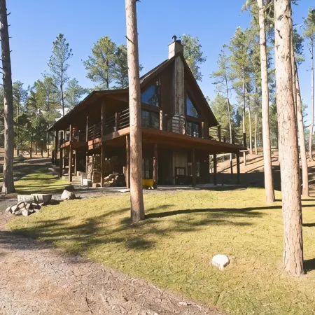 ShadyPines Cabin In The Black Hills w/Hot Tub & Centrally Located to Attractions