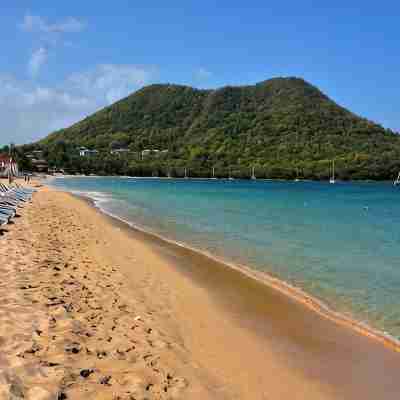Careffe Suites - Studio unit 4 -5 mins drive  to Rodney Bay Village Fitness & Recreational Facilities