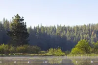 Lodge at the Lake near Pinecrest/Dodge Ridge WiFi - Chalets