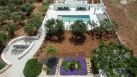 Designer villa with pool in Itria Valley - Pools