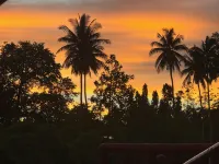สเตฟานี เกรซ อินน์ - วิว
