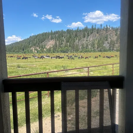 Cozy Cabin on working cattle ranch, close drive to Crater Lake, peaceful, quiet