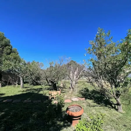 Home on the mesa’s edge the Proverbial Million Dollar View, jacuzzi and orchard