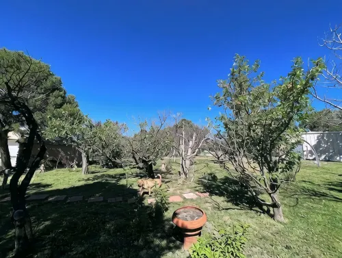 Home on the mesa’s edge the Proverbial Million Dollar View, jacuzzi and orchard