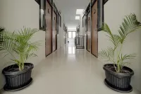 D'Paragon Seturan 2