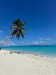Ambra Maldives