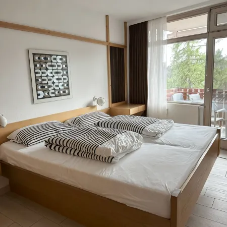 FeWo Hirschsprung - Cozy 2 room apartment in the vacation resort at Schluchsee (pool)