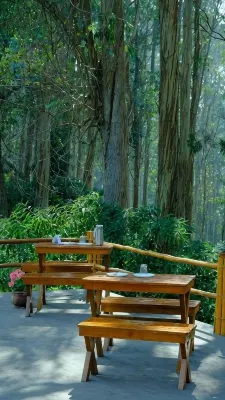 Western Valley Home Stay - Wifi
