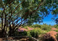 Hawaiian Chic Crater Retreat-Private Crater Oasis with a Serene Pool, Near Beach - 2-Star