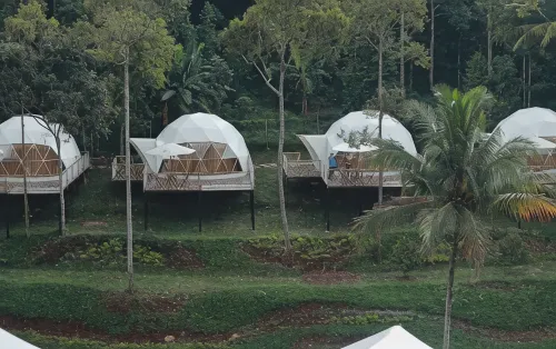Dmangku Farm Mancak Serang - Wifi