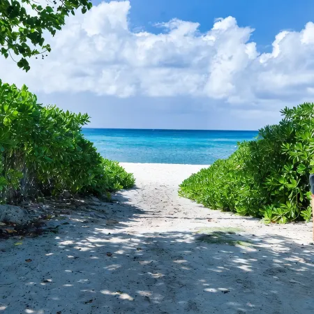 Beach Bliss by 7M Beach