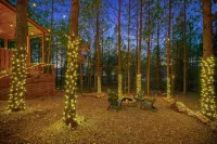 Romantic Luxury Cabin with Fire Pit and Trails - Alppimaja
