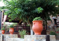 Kyveli