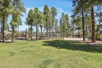Family-Friendly Flagstaff Retreat w/ Mtn Views, Fireplace, AC, Close to Nau - con encanto