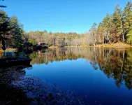Peaceful Lakeside Haven w/private dock; boating, hiking swimming just steps away - 4-Star