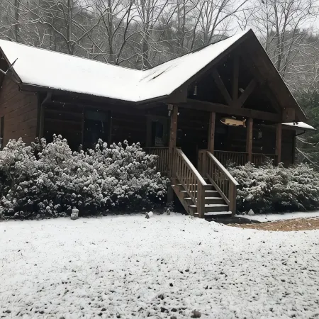 Nature's Delight in Robbinsville NC:  Snowbird Creek, Dragon's Tail and Trout