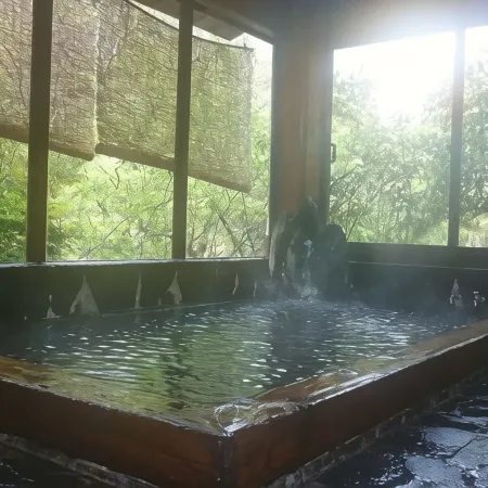 Oyabu Hotspring Hotele w: Ōzu