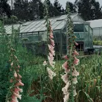 Slow Stay at Roebuck Farm - Wifi