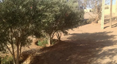 Hôtel Riad Tadarte Familier - Wifi