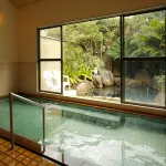 ホテル河内屋  - 温泉