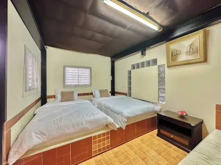 Cozy Nest CNX