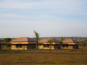 Serengeti Wild Camp