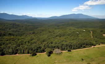 Rose Gums Wilderness Retreat