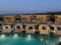 King Jason Zante – Designed for Adults - 5-Star