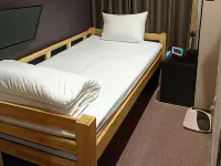 Tokyo Ariake Bay Hotel Hotels near Differ Ariake