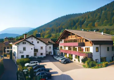 Schwarzer Adler Hotel di Ultimo