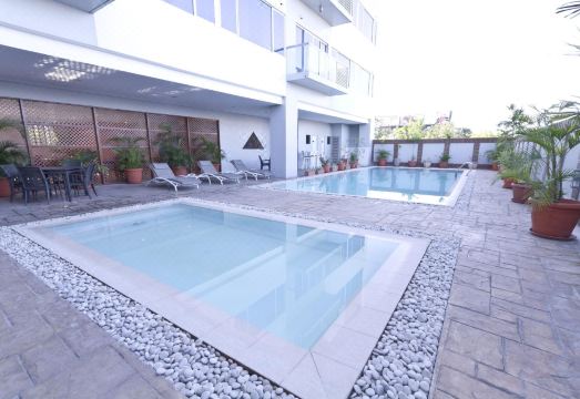 알리시아 아파텔 이미지