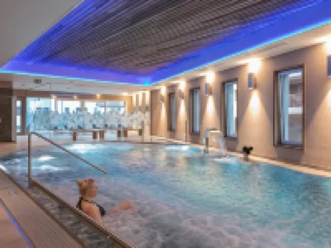 Hotel Alex Business & Spa Hotels in Naters