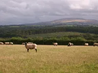 Middletown Farmhouse B&B Hotels in Okehampton