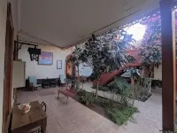 Hotel Halley Hotel a Vicuna
