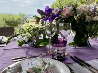 Agriturismo Sole Hotels in Trequanda