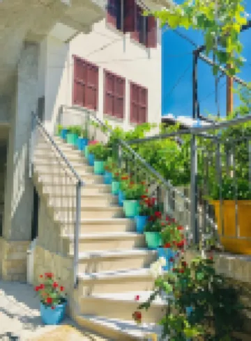 Denis Guest House