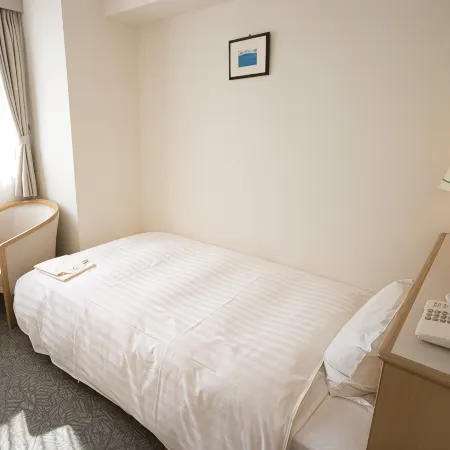 Hotel Park Inn Toyama