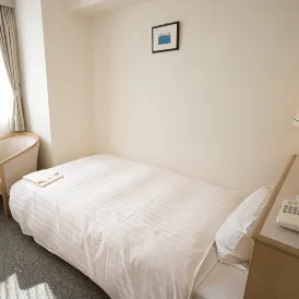 Hotel Park Inn Toyama