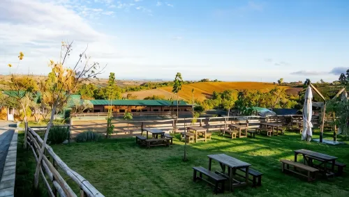 3 Hills Boutique Hotel - Wifi