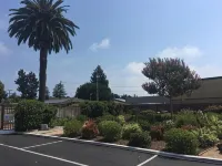 Hitching Post Studios Inn - Motels