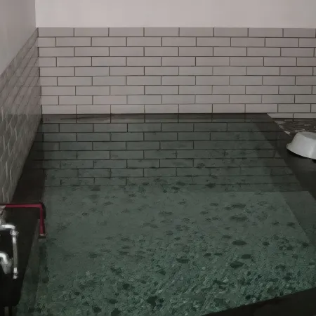 Onsen Minshuku Shirahamaya
