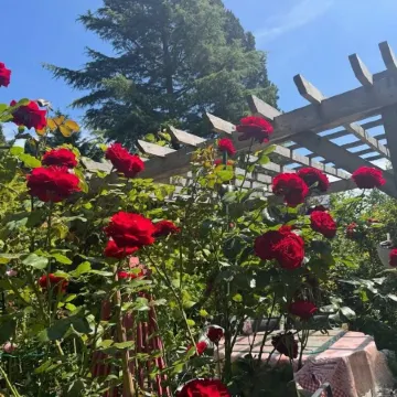 Cozy 3BR Villa · Garden View · Near Beach, short & long term rent , Local foods